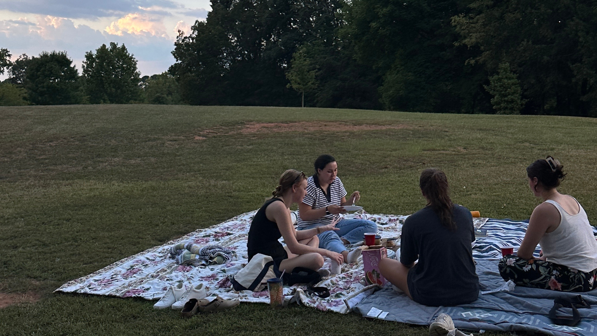 Four people sit on two large picnic blankets. The picnic blankets are positioned on grass at the foot of a slight hill. Trees line the horizon.